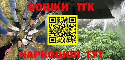 гидропоника Ипатово