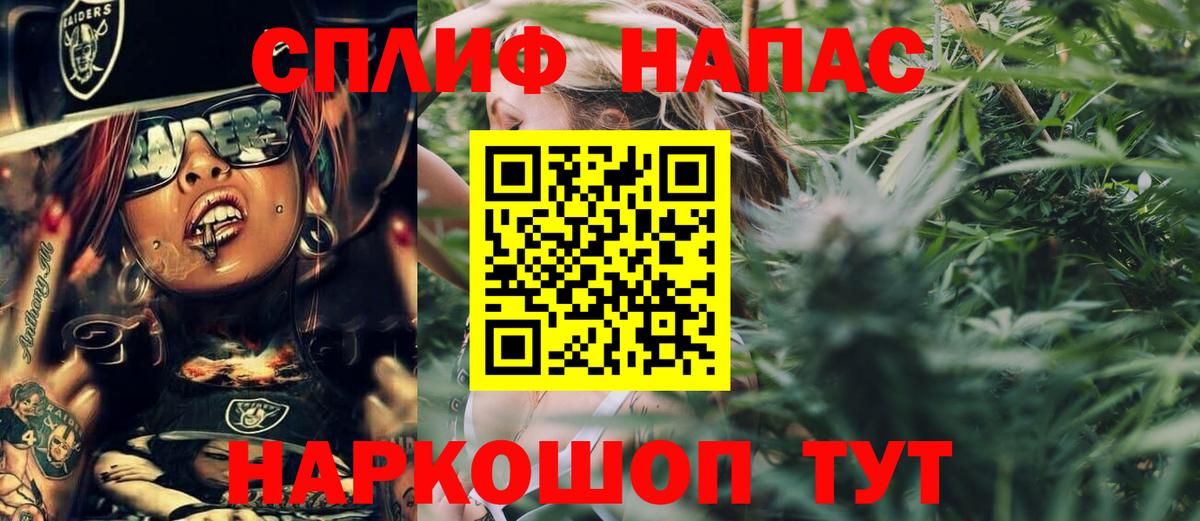 Канабис сатива Лесосибирск